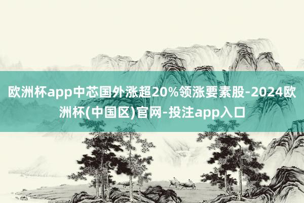 欧洲杯app中芯国外涨超20%领涨要素股-2024欧洲杯(中国区)官网-投注app入口