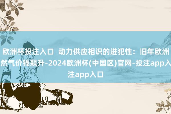 欧洲杯投注入口  动力供应相识的进犯性：旧年欧洲自然气价钱飙升-2024欧洲杯(中国区)官网-投注app入口