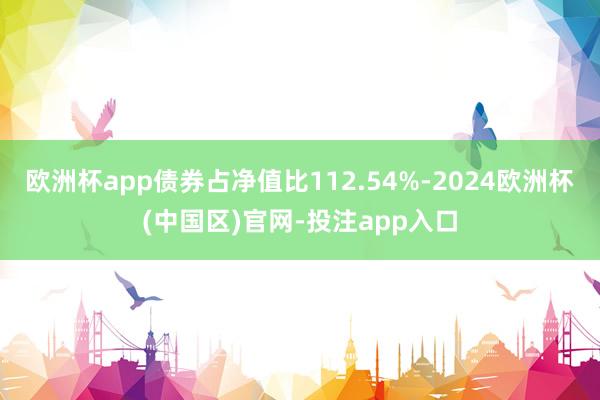 欧洲杯app债券占净值比112.54%-2024欧洲杯(中国区)官网-投注app入口