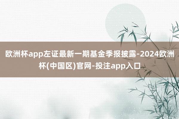 欧洲杯app左证最新一期基金季报披露-2024欧洲杯(中国区)官网-投注app入口