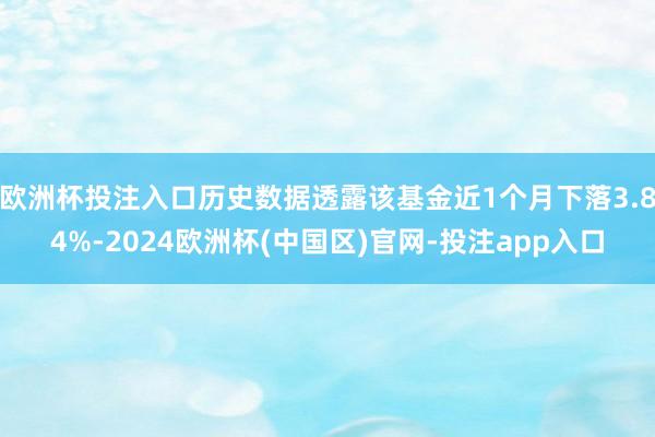 欧洲杯投注入口历史数据透露该基金近1个月下落3.84%-2024欧洲杯(中国区)官网-投注app入口