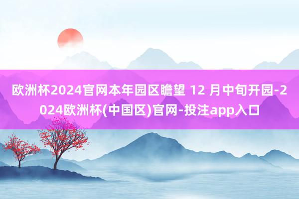 欧洲杯2024官网本年园区瞻望 12 月中旬开园-2024欧洲杯(中国区)官网-投注app入口