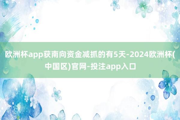 欧洲杯app获南向资金减抓的有5天-2024欧洲杯(中国区)官网-投注app入口