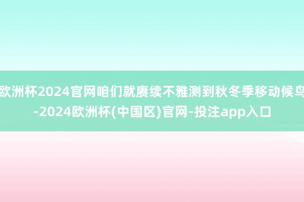 欧洲杯2024官网咱们就赓续不雅测到秋冬季移动候鸟-2024欧洲杯(中国区)官网-投注app入口