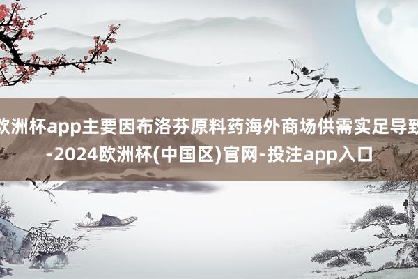 欧洲杯app主要因布洛芬原料药海外商场供需实足导致-2024欧洲杯(中国区)官网-投注app入口