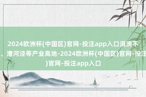 2024欧洲杯(中国区)官网-投注app入口涓滴不输于张江、漕河泾等产业高地-2024欧洲杯(中国区)官网-投注app入口