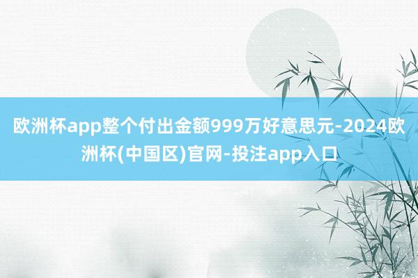 欧洲杯app整个付出金额999万好意思元-2024欧洲杯(中国区)官网-投注app入口